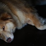 DSC08550
