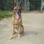 DSC09205